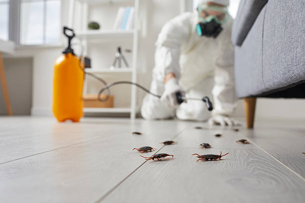 Commercial Kitchen Cockroach Control in Southside